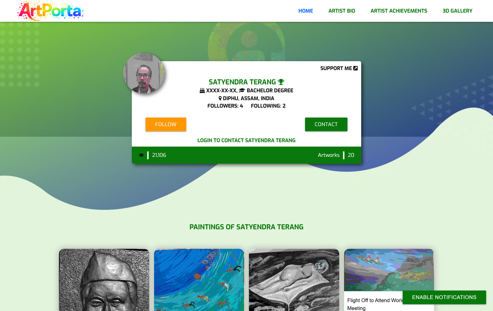 artporta professional portfolio for physical artist 5